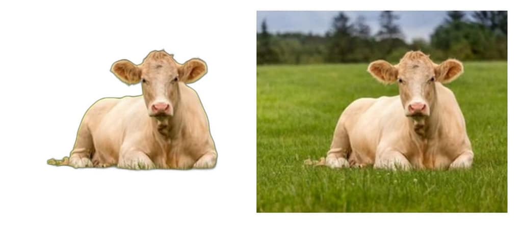 photo_2024-08-19_14-25-56-1024x448 Remove the Background of an Image Using Python