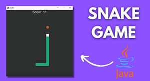 Create-a-Snake-Game-in-Java Code Snippets